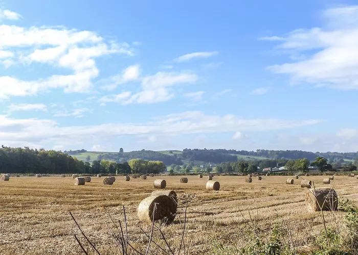 Ashknott Dom wakacyjny